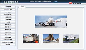 上海网站建设与设计 天照科技的专业服务方案
